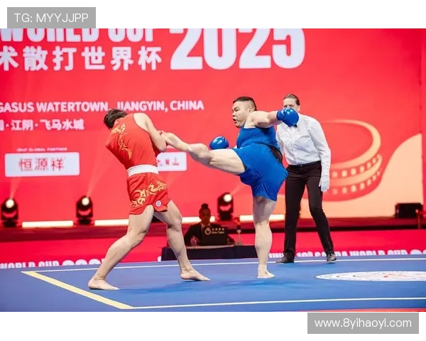 2026年世界杯武术散打比赛精彩回顾与精彩瞬间